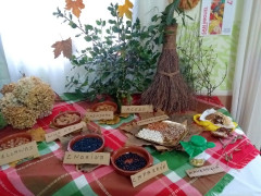 Exposición y degustación de productos de otoño (2017)