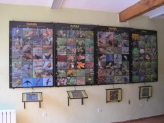 Paneles de flora y fauna (2011)