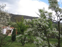 Primavera (2011)