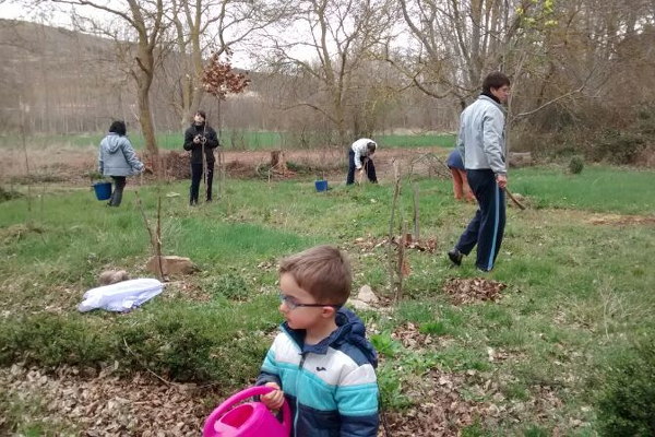 Día del árbol 2014