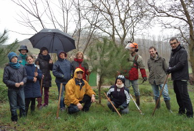 Día del árbol 2015 - 01