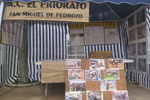 Feria Alfonsina 2013 - 01