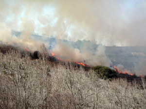 Incendio (abril de 2010)