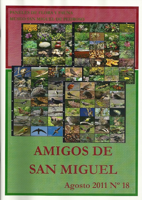 Revista Amigos de San Miguel 18