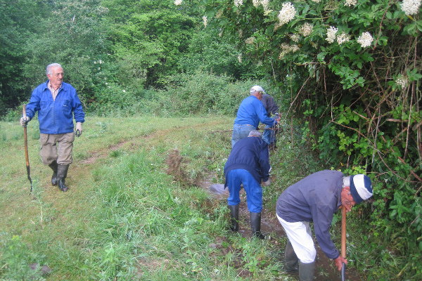 Vereda - Junio 2014