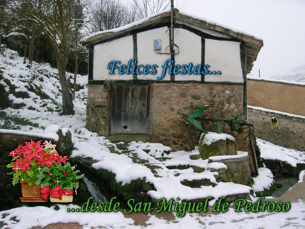 Postal 1
